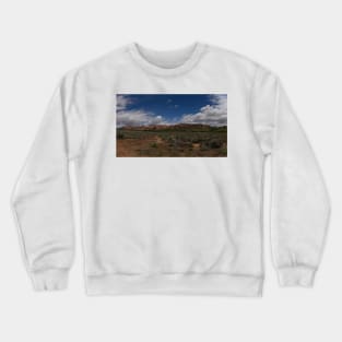 WGC_4016 Crewneck Sweatshirt